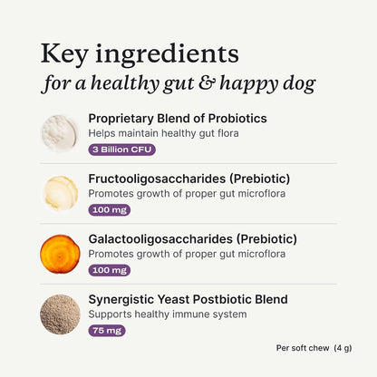 Premium imported USA pet supplement for dog seasonal allergies and paw licking.