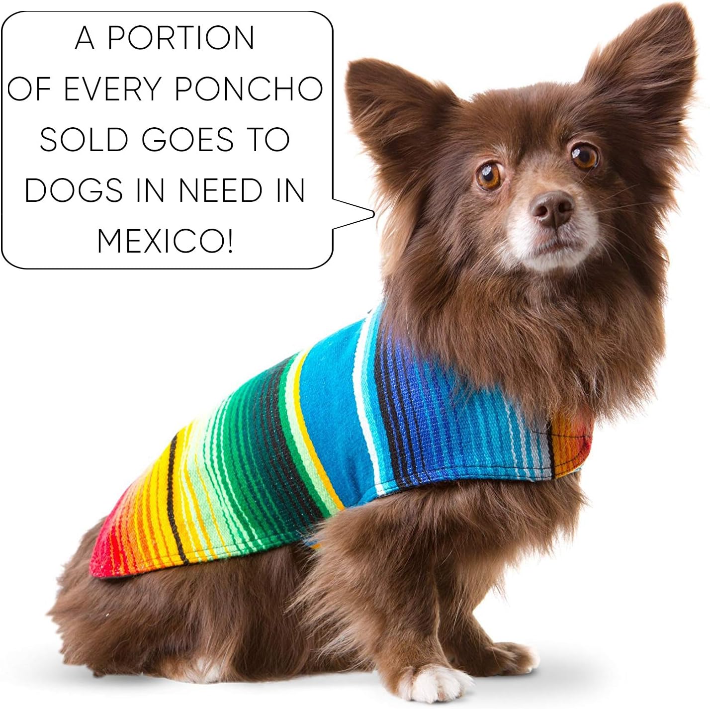 Detail of hand-woven serape fabric on Baja dog poncho