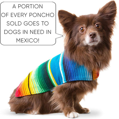 Detail of hand-woven serape fabric on Baja dog poncho
