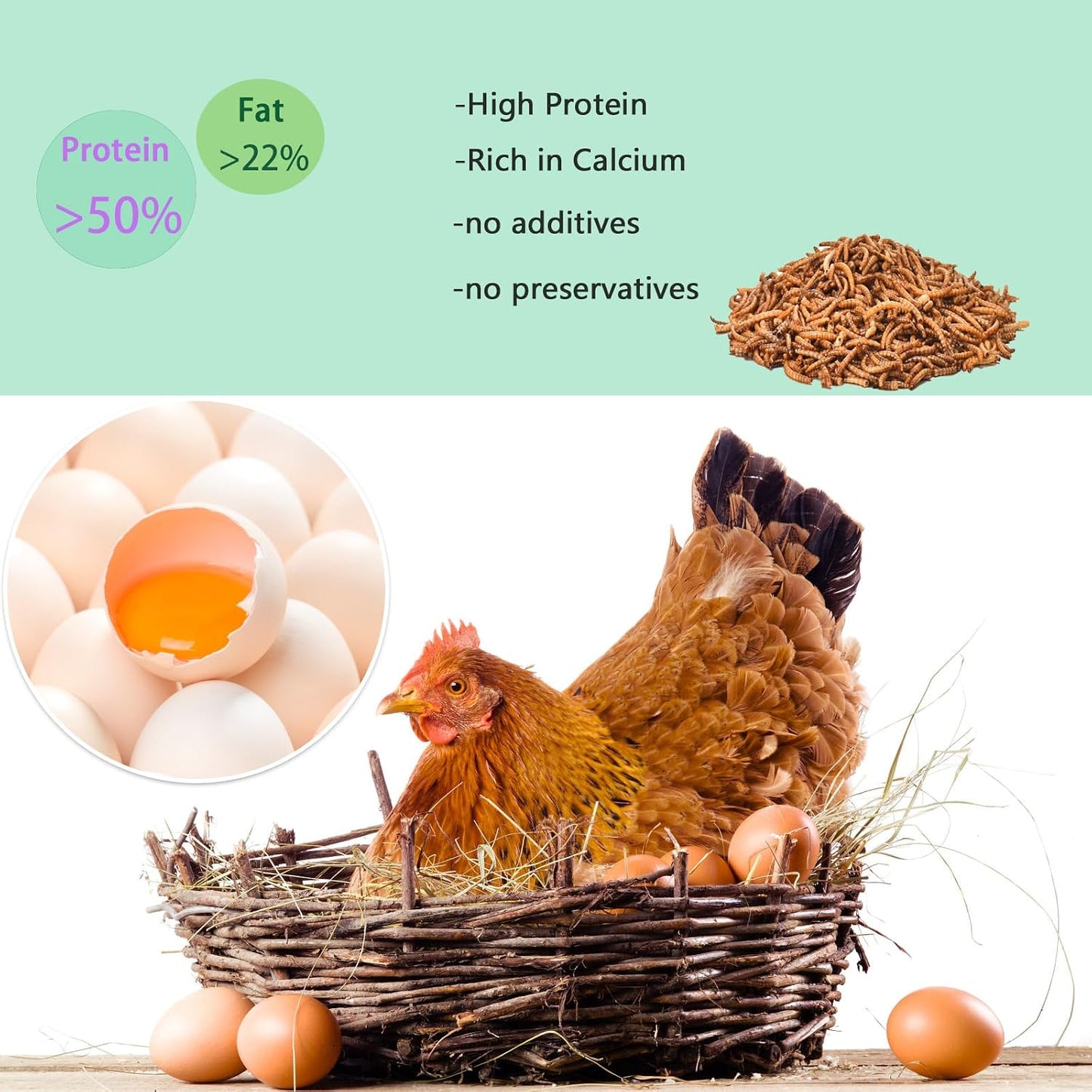 Dried mealworms in a scoop for poultry feed