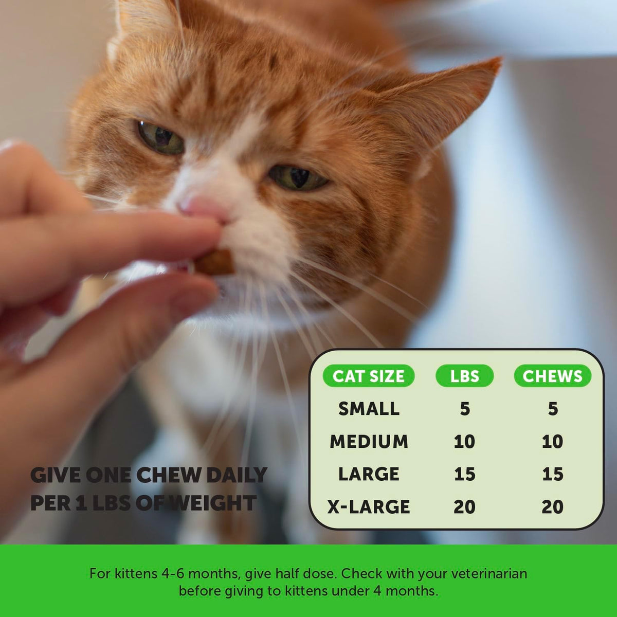 Natural pumpkin fiber feline digestive chews for stool regularity and immune defense.