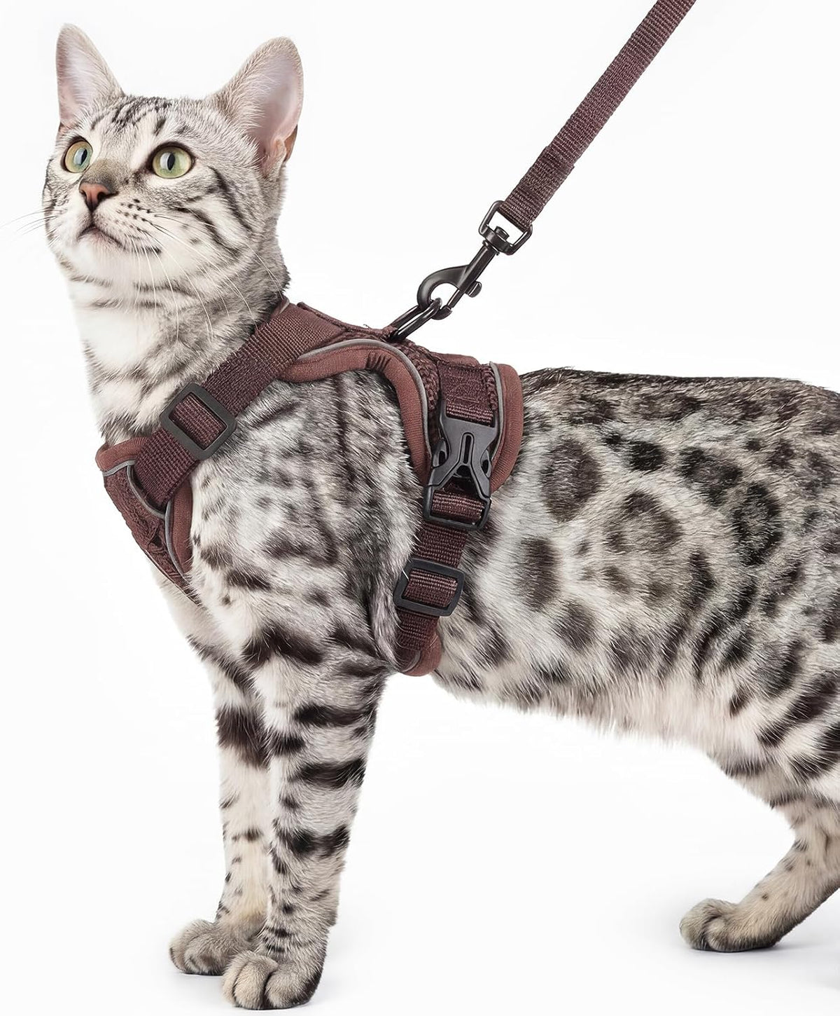 Cat Harness and Leash Set Escape Proof Tactical Extra Large Kitten Harness Emotional Support Cat Vest, Grey, XL - Image 12