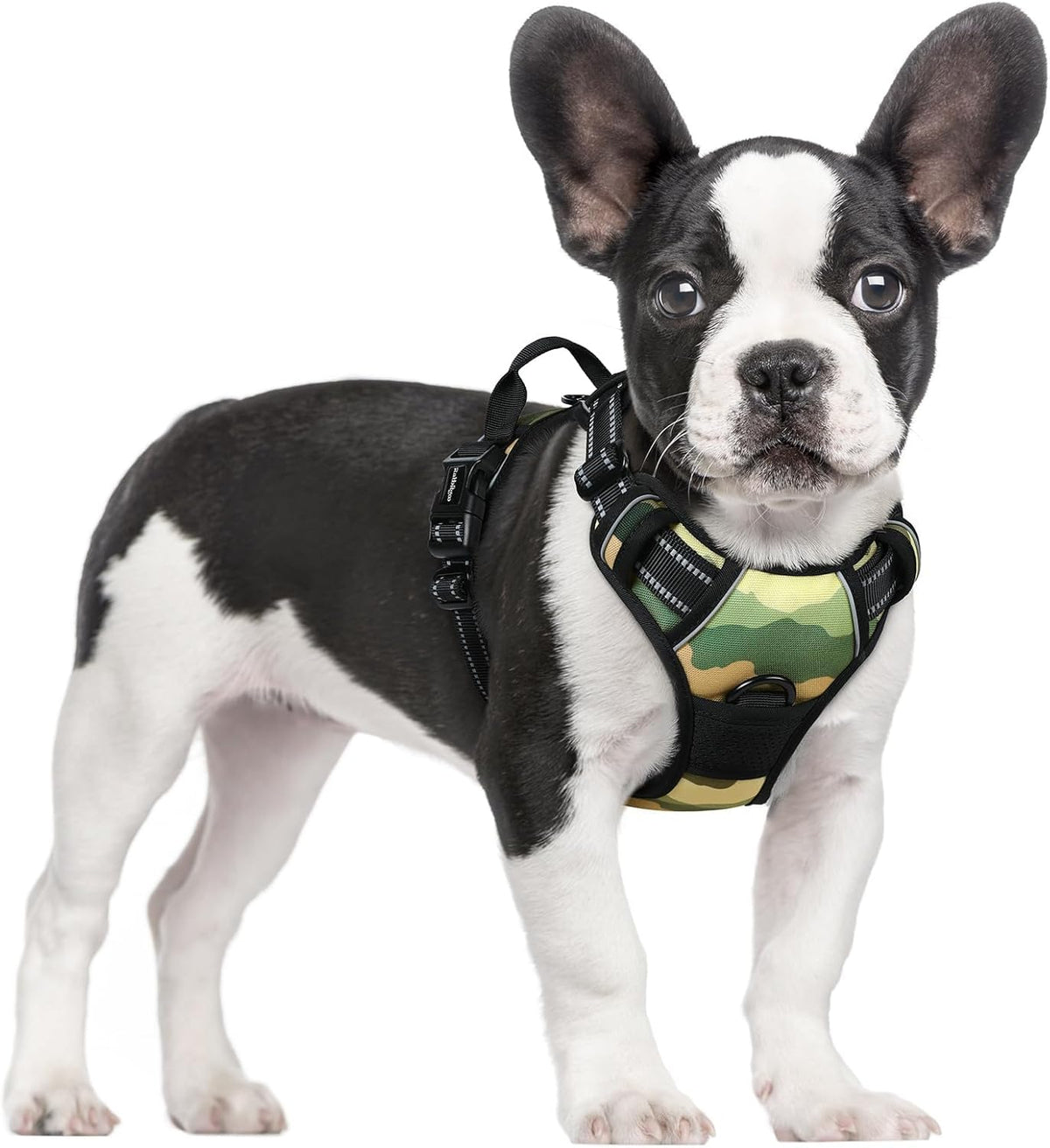 rabbitgoo Dog Harness No Pull with 2 Leash Clips, Adjustable Soft Padded, Reflective Oxford No Choke Pet Vest with Easy Control Handle for Large Dogs, Black, L - Image 15