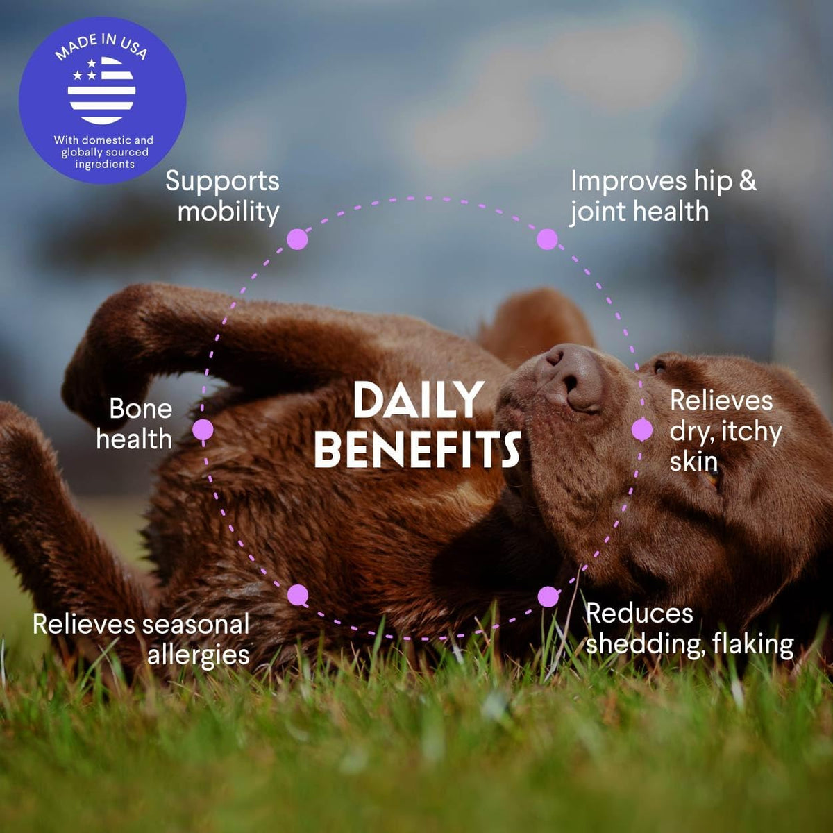 Omega three fatty acid liquid pet supplement for canine joint flexibility and allergy relief.