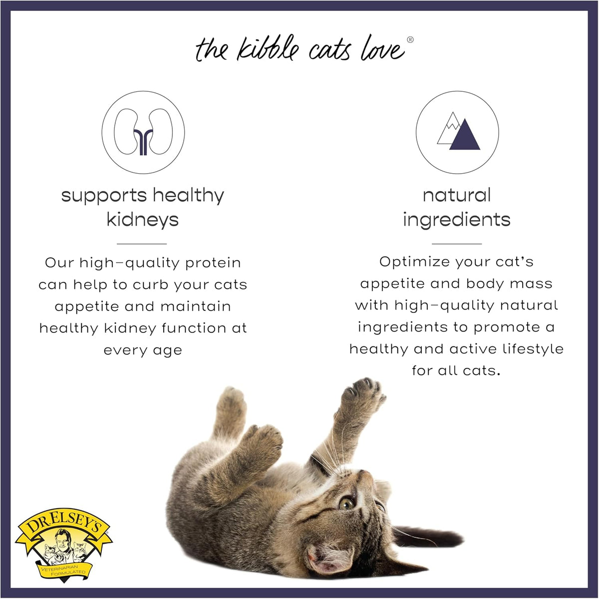 Premium imported USA cat treats from Dr. Elsey's brand for kittens and adult cats.