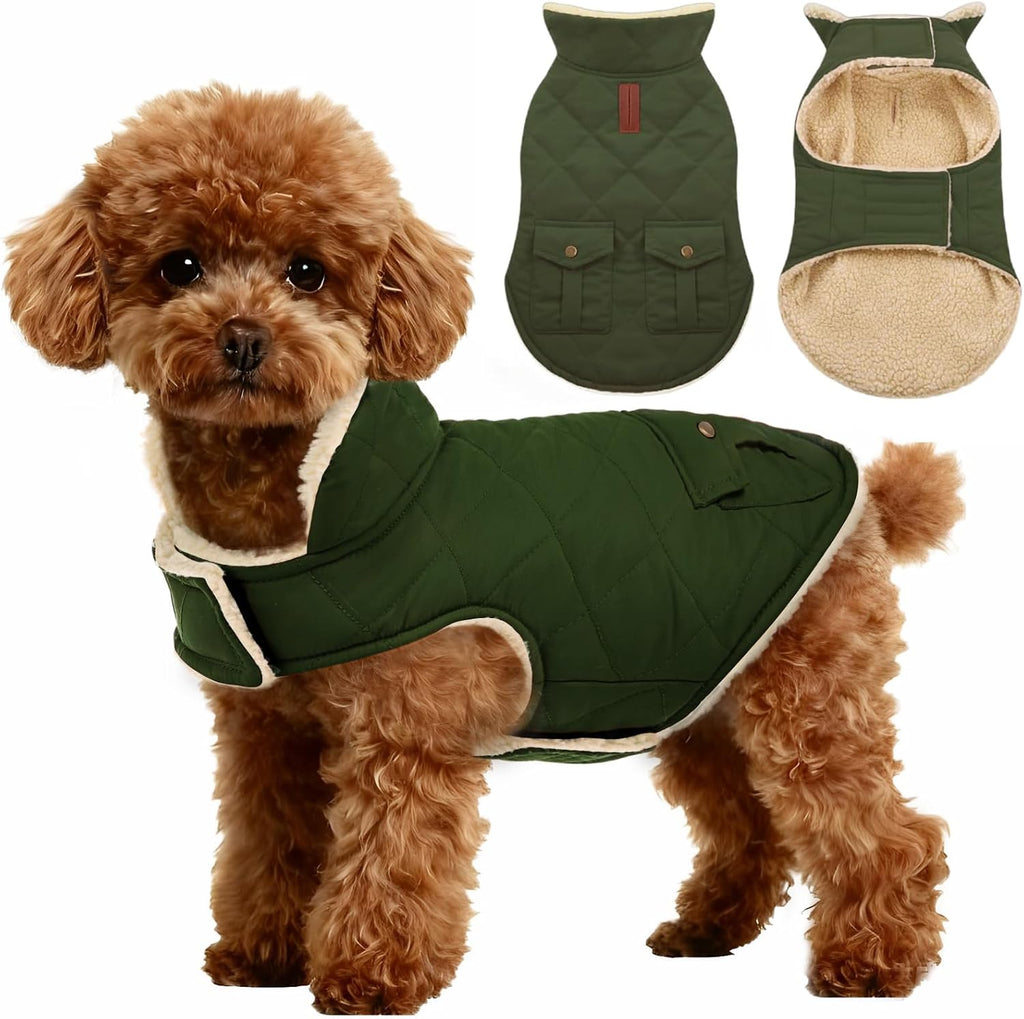 Asenku Warm Dog Winter Coat green front view for small dogs