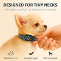 Small dog wearing Elecane Teacup anti bark collar
