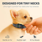 Small dog wearing Elecane Teacup anti bark collar