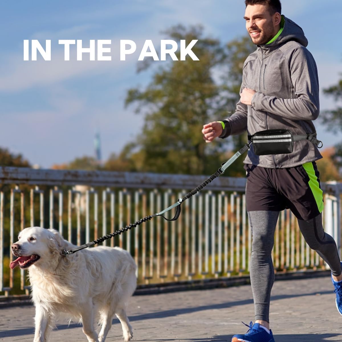 Hands Free Dog Leash, Double Dog Leash with Waist Bag, Back Brace, Double Padded Handles, Running Belt Fanny Pack with Phone, Treat, (Large, 26-120 lbs) - Image 9