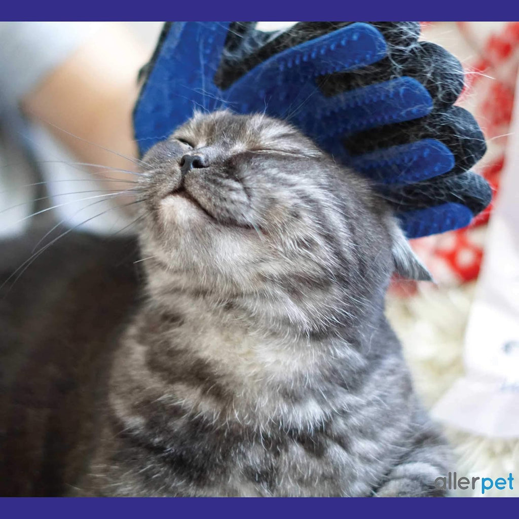 Allerpet Cat Dander Remover grooming mitt and gloves set for deshedding and dander control.