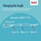 Halti double-ended training leash with metal clips