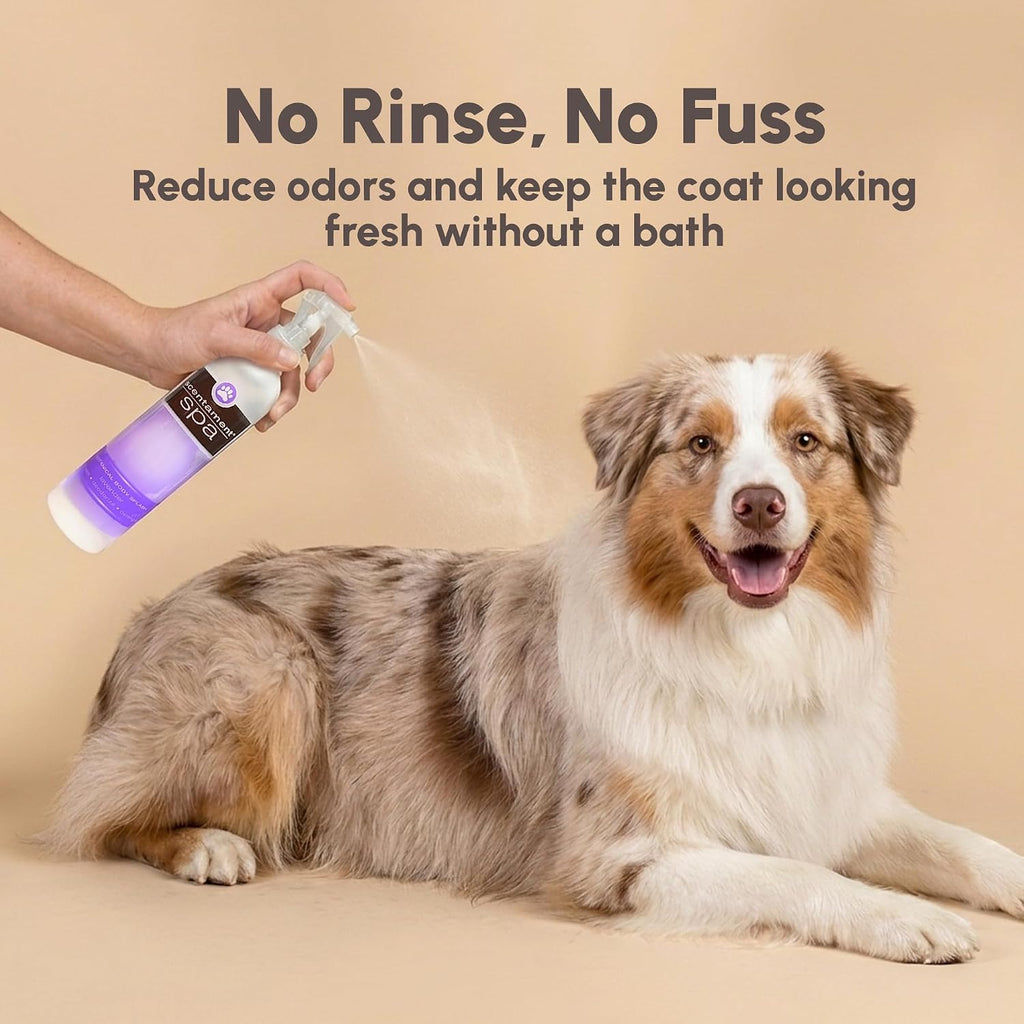 Best Shot Pet botanical body splash 8 Ounce bottle showing ingredients and instructions