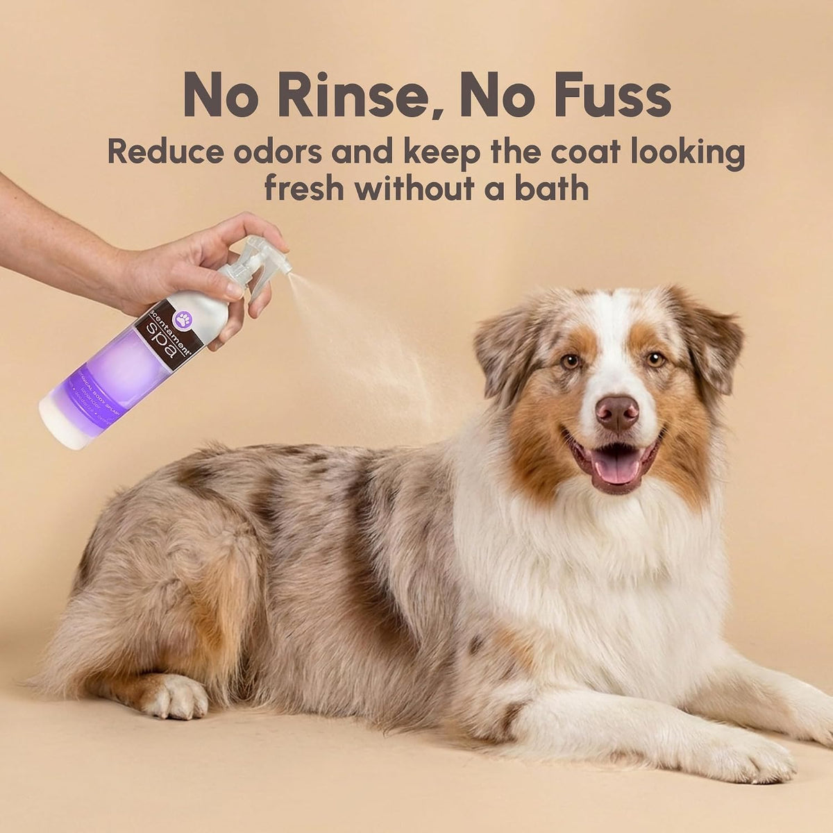 Best Shot Pet botanical body splash 8 Ounce bottle showing ingredients and instructions
