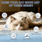 AETHER broad spectrum cat deworming liquid formula for kittens