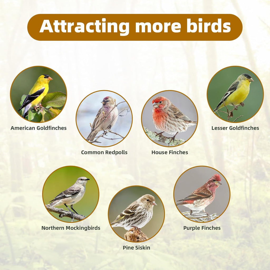 Nyjer/Thistle Seeds Wild Bird Feeder 2 Pack,All-Metal Material - Image 6