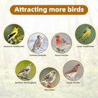 Nyjer/Thistle Seeds Wild Bird Feeder 2 Pack,All-Metal Material - Image 6