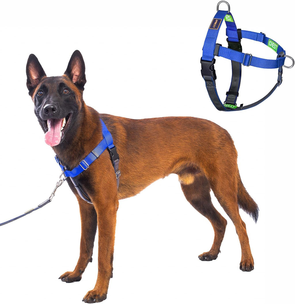 Breathable mesh material detail of Apdexy dog harness