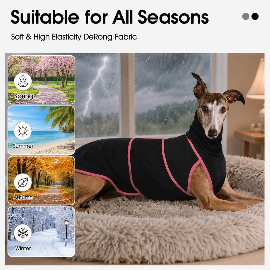 Adnikia lightweight dog winter coat back view displaying the anatomical fit for greyhound body types.