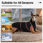 Adnikia lightweight dog winter coat back view displaying the anatomical fit for greyhound body types.