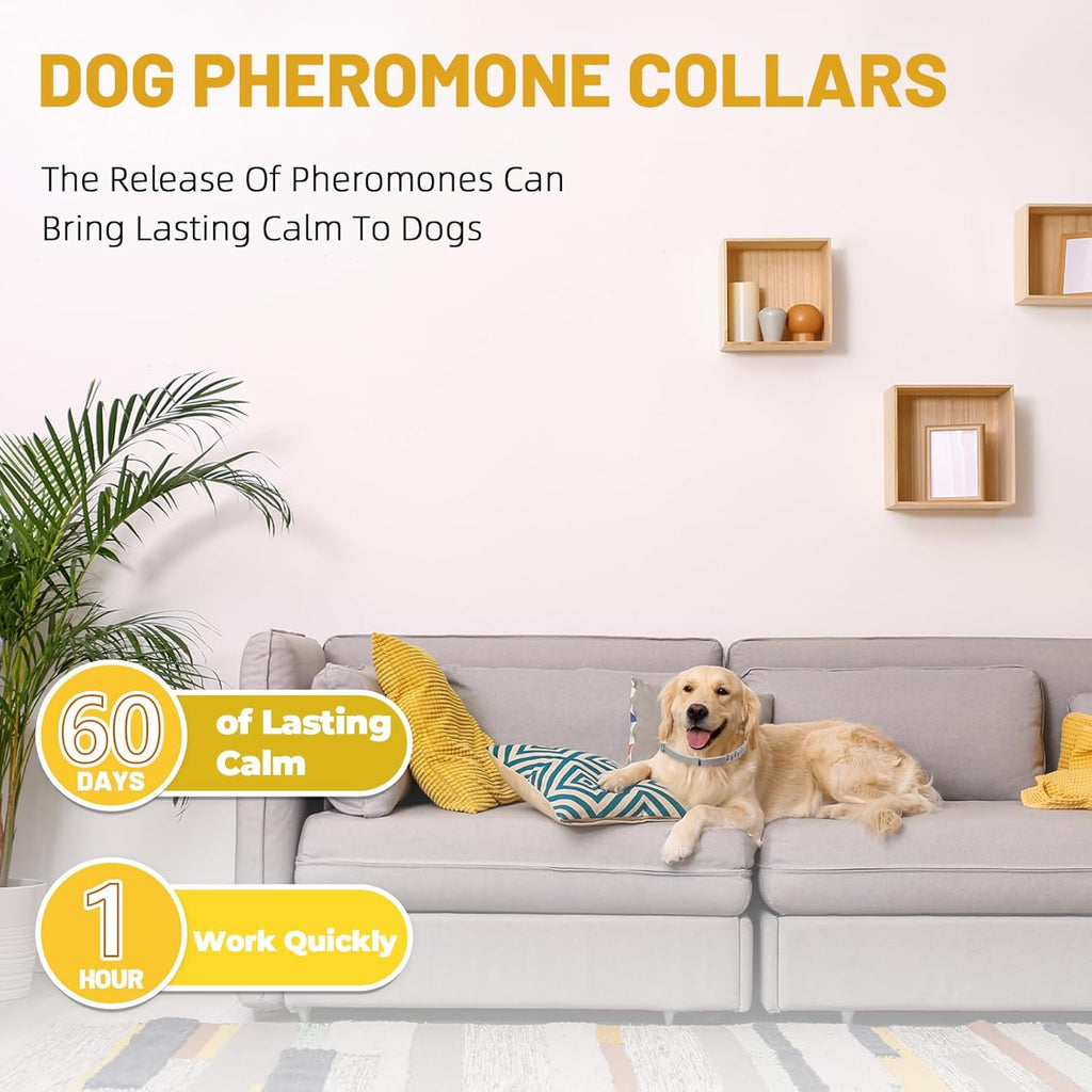 Close up view of the adjustable buckle on the dog pheromone collar for stress relief.