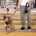 Plutus Pet 6ft dual handle dog lead close up