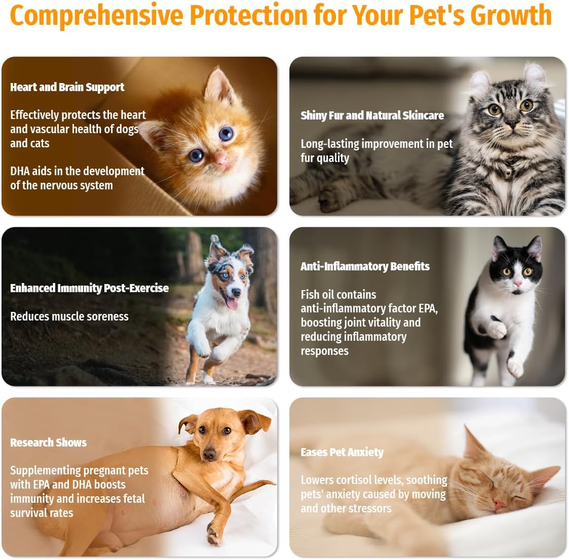 Imported USA pet skin and coat liquid health supplement