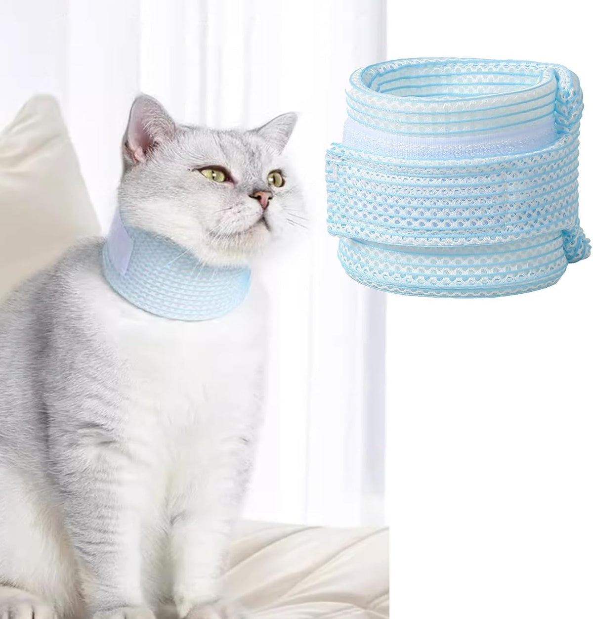 Premium USA imported pet medical supplies for wound protection on Rudra Retails.