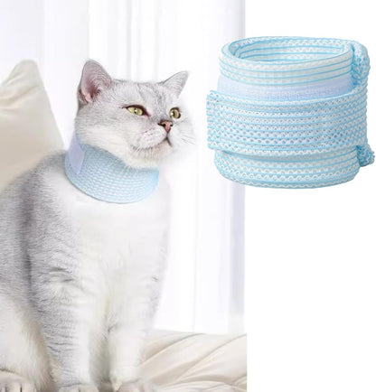 Premium USA imported pet medical supplies for wound protection on Rudra Retails.