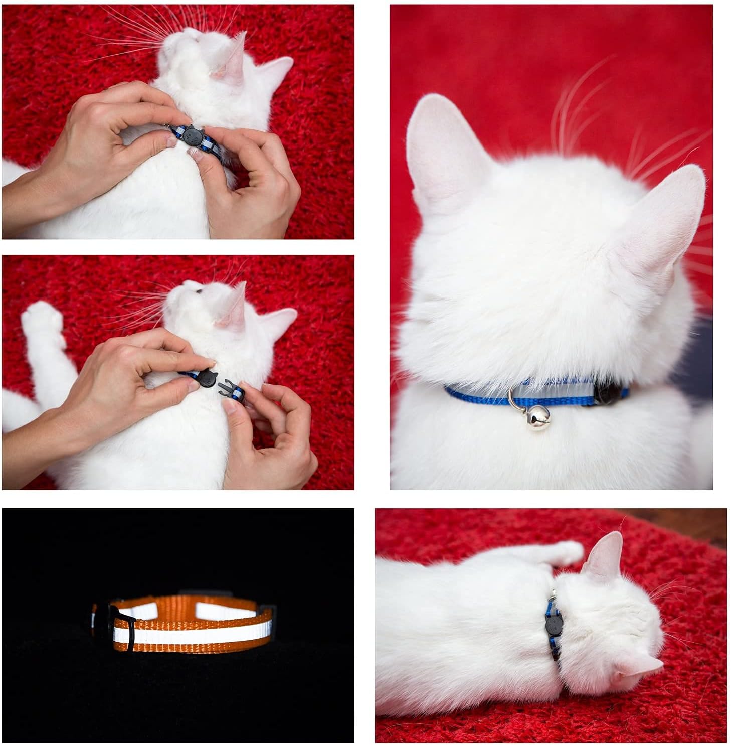 Six piece assortment of pink purple green blue orange and red nylon cat collars with bells