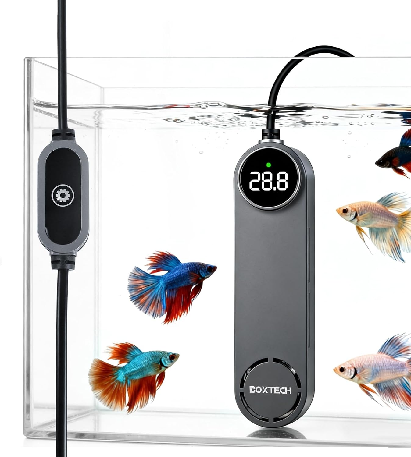 boxtech Small Fish Tank Heater - Mini Aquarium Heater, 50w Submersible Turtle Heater with Adjustable Temperature External Controller for 3 to 12 Gallon Betta Aquarium Tanks - Image 11