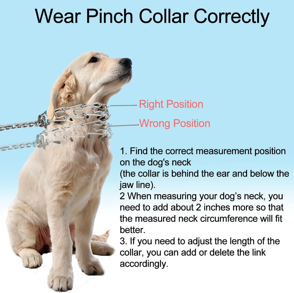 Darkyazi imported dog choke pinch collar packaging contents