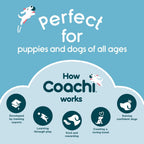 Coachi Multi-Clicker positive reinforcement tool in coral and navy colors for pet training