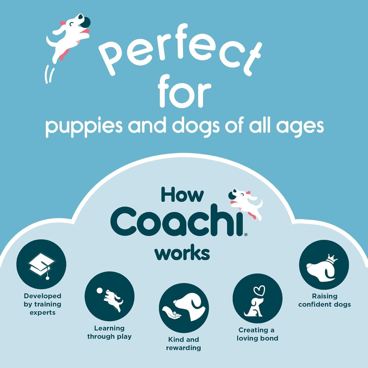 Coachi Multi-Clicker positive reinforcement tool in coral and navy colors for pet training