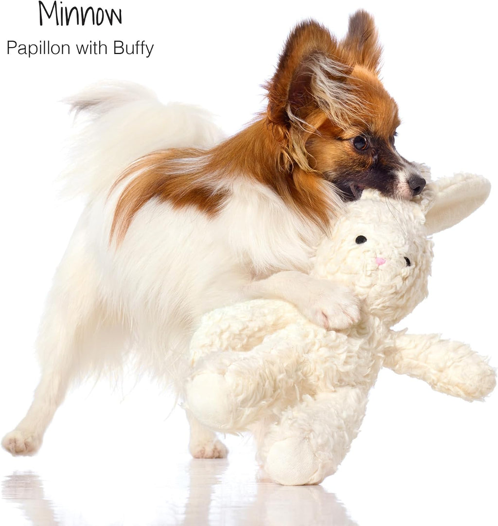 Durable cotton dog toy with coconut fiber fill for pets