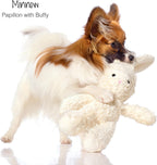 Durable cotton dog toy with coconut fiber fill for pets