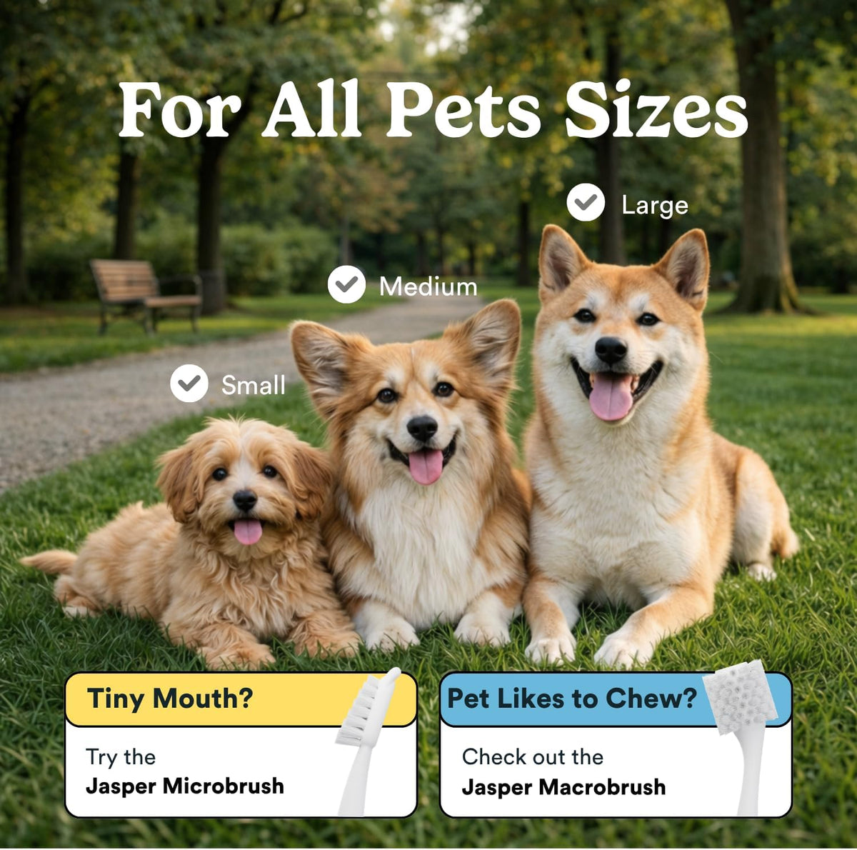 Jasper Dog Toothbrush, 360 Dog Tooth Brushing Kit, Finger Toothbrush, Cat Tooth Brush, Teeth Cleaning, Pet Tooth Brush for Small & Large Pets, Pet Toothpaste Not Included, 2-Pack Blue - Image 3