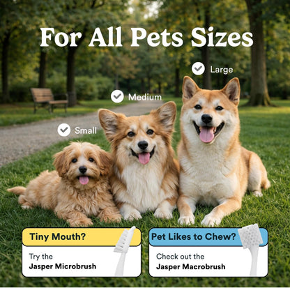Jasper Dog Toothbrush, 360 Dog Tooth Brushing Kit, Finger Toothbrush, Cat Tooth Brush, Teeth Cleaning, Pet Tooth Brush for Small & Large Pets, Pet Toothpaste Not Included, 2-Pack Blue - Image 3
