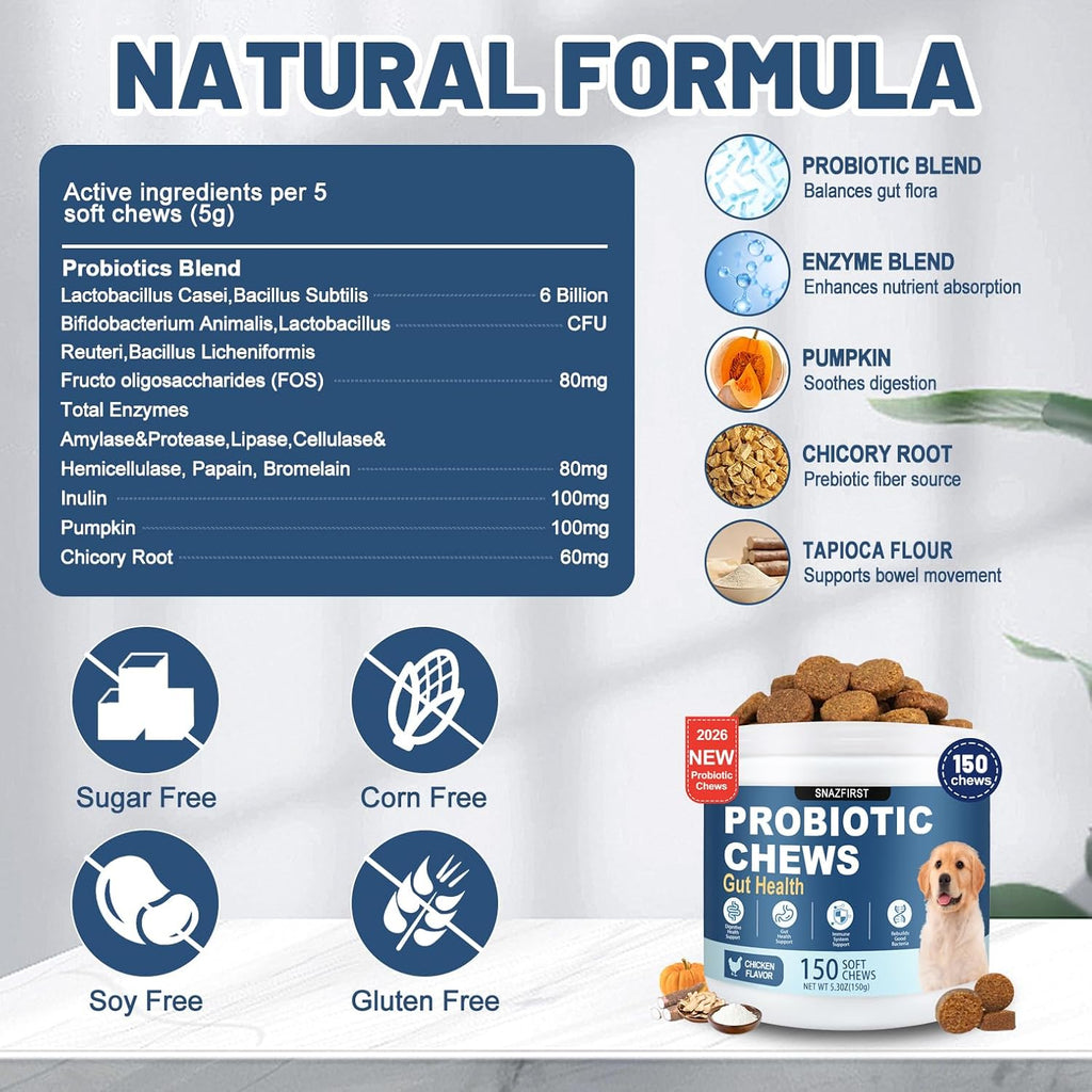 Drool Duke canine probiotics supplement for diarrhea and constipation relief.