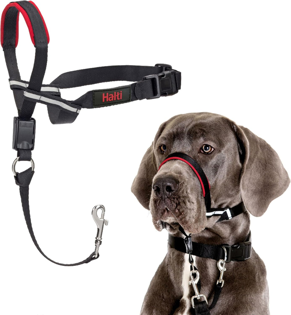 Halti Optifit Headcollar - Stop Your Dog Pulling on the Leash. Adjustable, Reflective and Lightweight, with Padded Nose Band. Dog Training Anti-Pull Collar for Medium Dogs (Size Medium) - Image 8