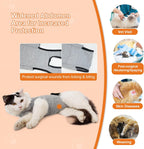 Doglemi cat medical garment showing adjustable elastic neck buckle