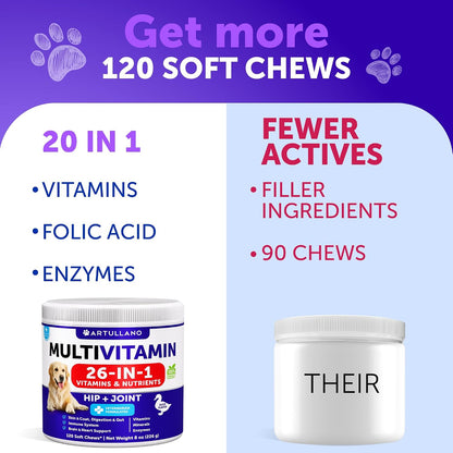 Vet Promise dog supplement chewable tablets packaging