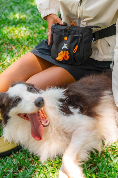 OllyDog premium treat pouch clipped onto a pant pocket using the removable waist clip