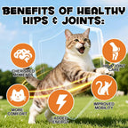 Cat Hip + Joint Supplement, Health Treats with Glucosamine & Chondroitin, Hip & Joint Care Chews for Cats & Kittens, Supports Mobility & Cartilage, Chicken Flavor, 100g (30 Day Supply) - Image 9
