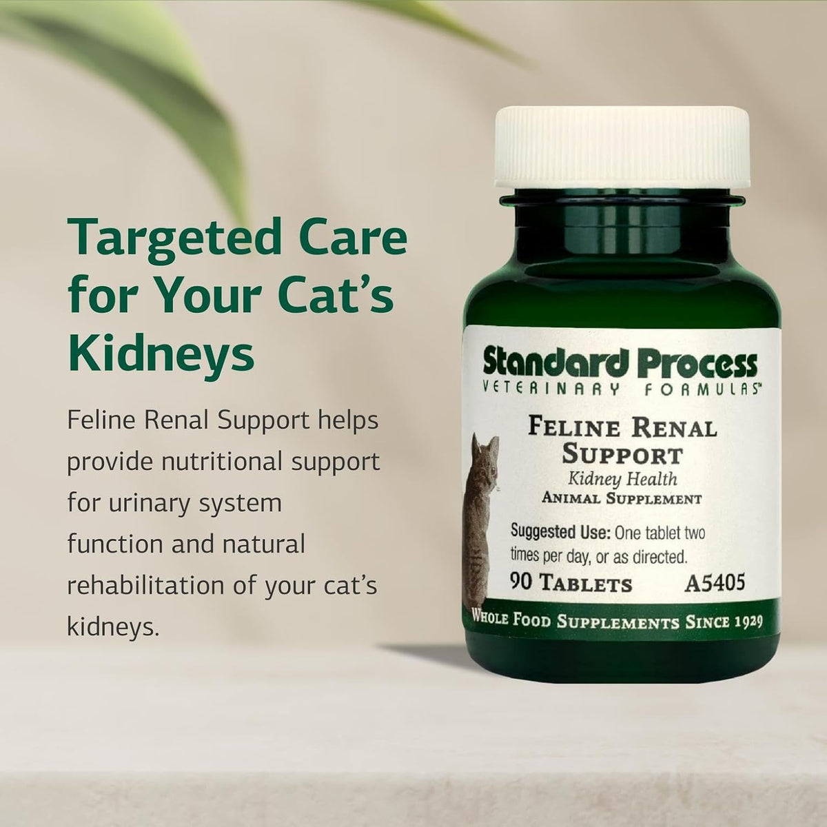 Standard Process Feline Renal Support rear view ingredients panel