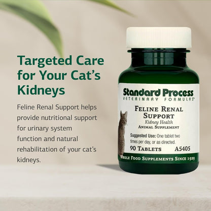 Standard Process Feline Renal Support feline kidney health supplement bottle