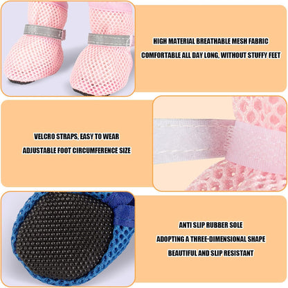Small dog wearing blue mesh summer paw protectors