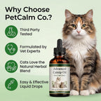 USA imported PLYNXE catnip essential oil dropper bottle for immune support