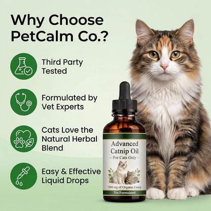 USA imported PLYNXE catnip essential oil dropper bottle for immune support