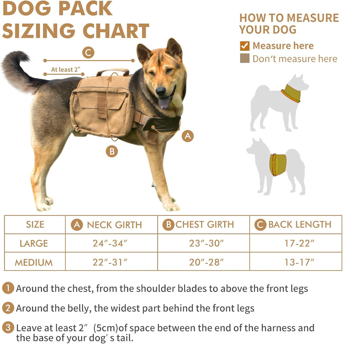 Horse lightweight pet travel pack back view with top handle