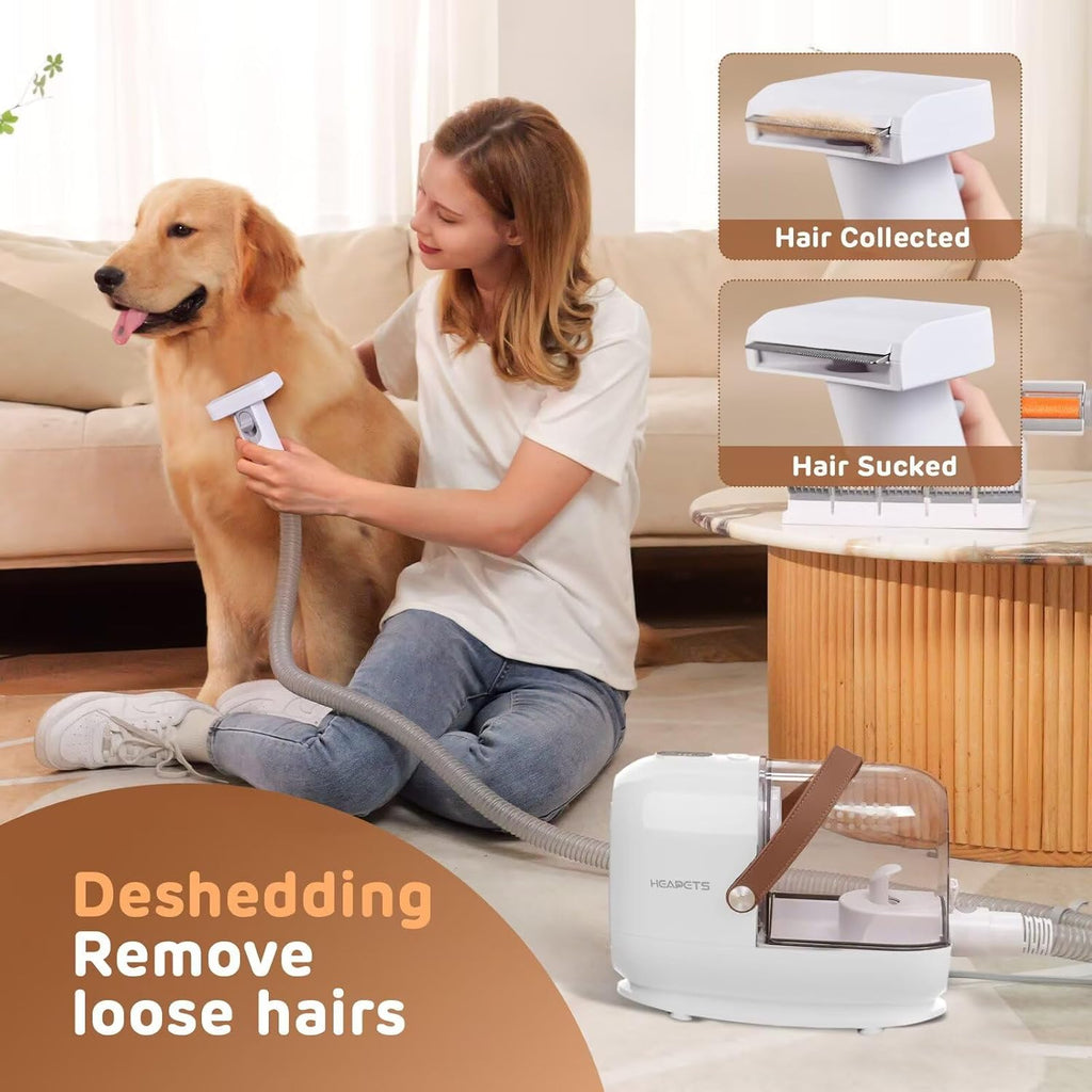 Cleaning nozzle attachment being used to vacuum pet hair off a fabric living room sofa.